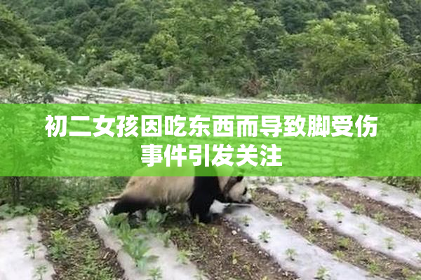 初二女孩因吃东西而导致脚受伤事件引发关注