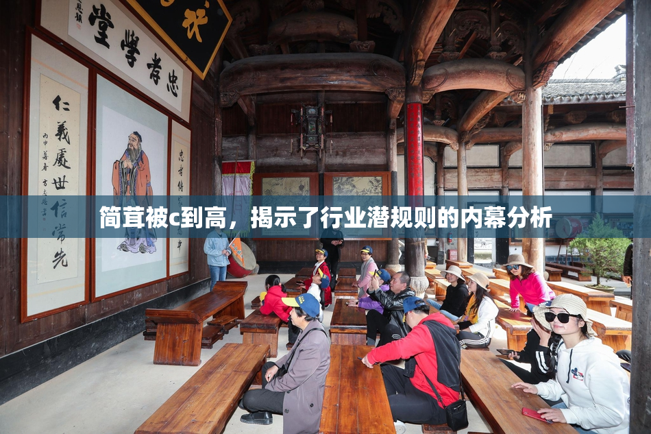 简茸被c到高，揭示了行业潜规则的内幕分析
