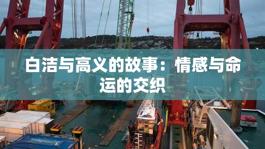白洁与高义的故事：情感与命运的交织