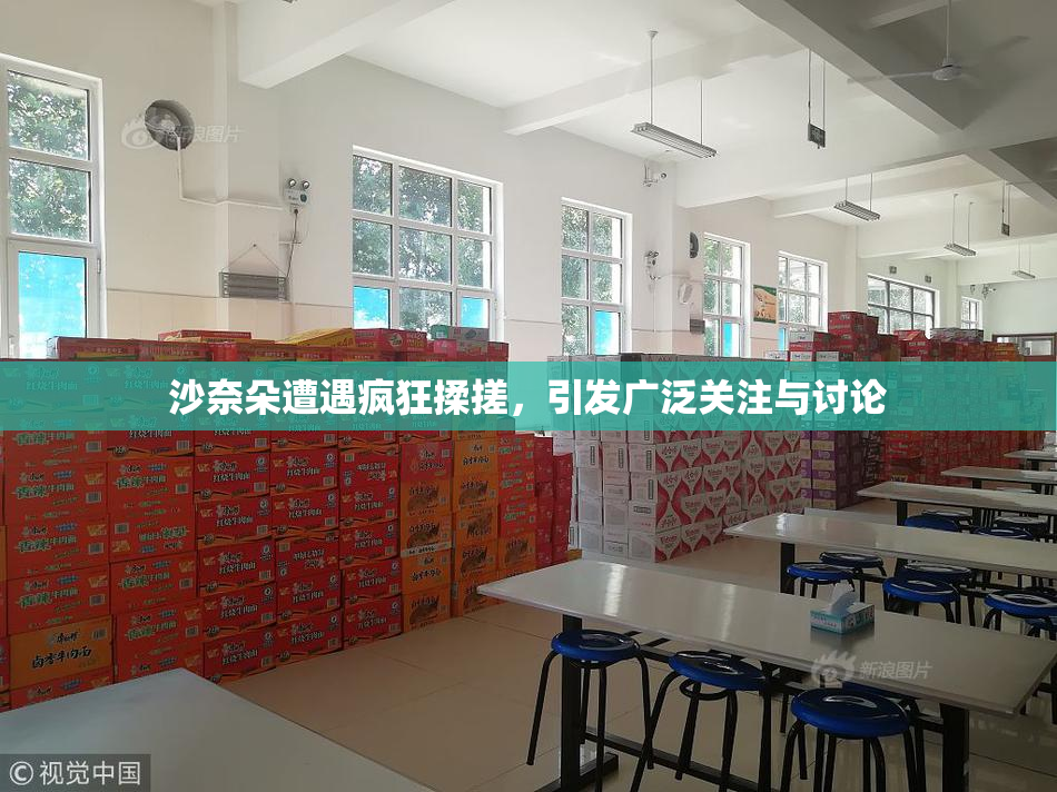 沙奈朵遭遇疯狂揉搓，引发广泛关注与讨论