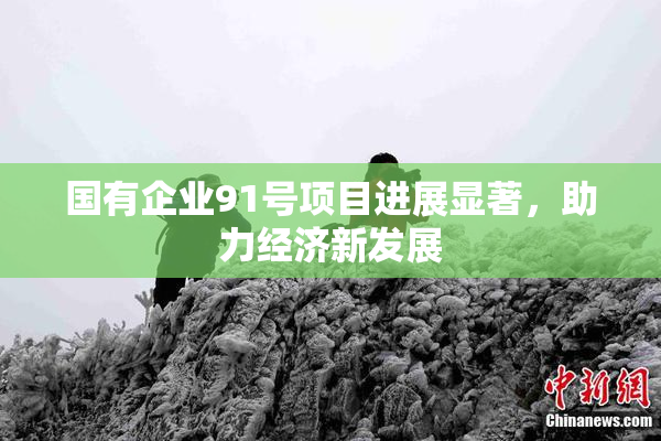 国有企业91号项目进展显著，助力经济新发展