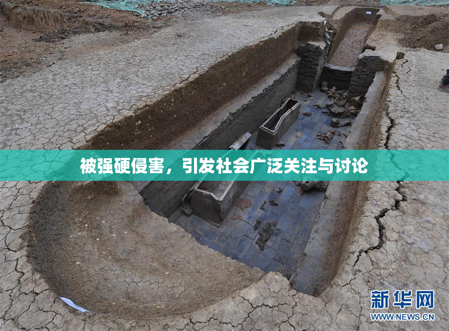 被强硬侵害，引发社会广泛关注与讨论