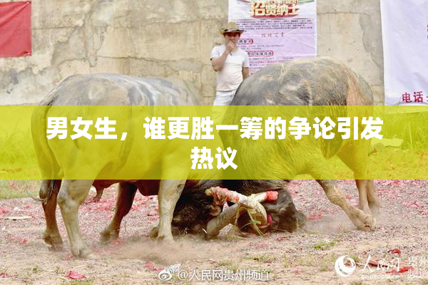 男女生，谁更胜一筹的争论引发热议