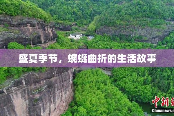 盛夏季节，蜿蜒曲折的生活故事