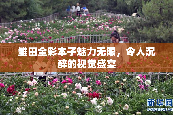 雏田全彩本子魅力无限，令人沉醉的视觉盛宴