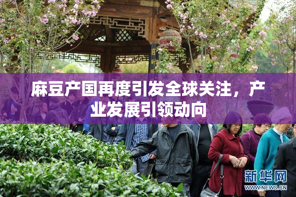 麻豆产国再度引发全球关注，产业发展引领动向