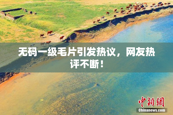 无码一级毛片引发热议，网友热评不断！