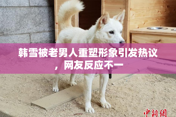 韩雪被老男人重塑形象引发热议，网友反应不一