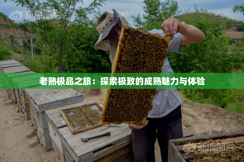 老熟极品之旅：探索极致的成熟魅力与体验