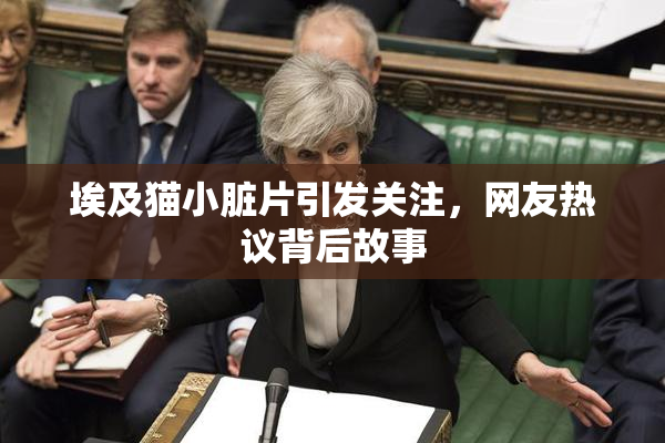 埃及猫小脏片引发关注，网友热议背后故事