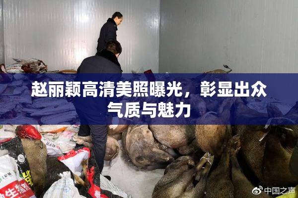 赵丽颖高清美照曝光，彰显出众气质与魅力