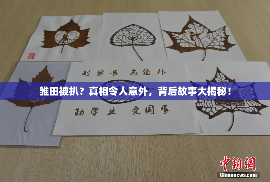 雏田被扒？真相令人意外，背后故事大揭秘！