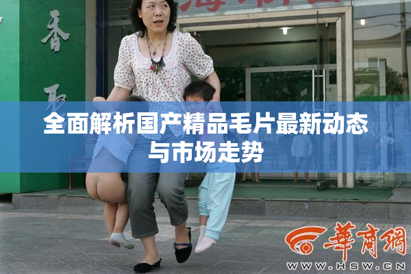 全面解析国产精品毛片最新动态与市场走势
