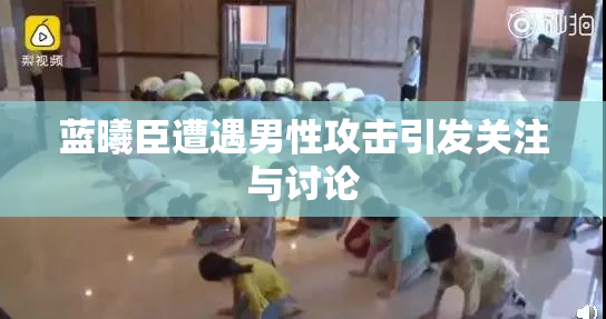 蓝曦臣遭遇男性攻击引发关注与讨论