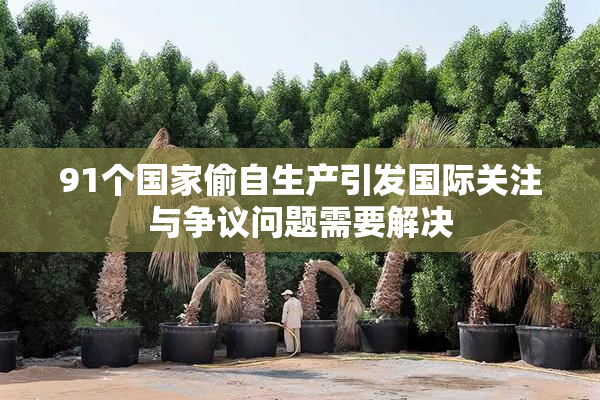 91个国家偷自生产引发国际关注与争议问题需要解决