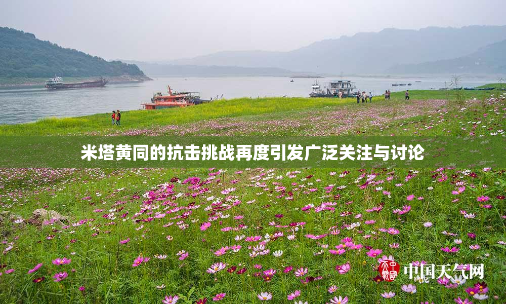米塔黄同的抗击挑战再度引发广泛关注与讨论