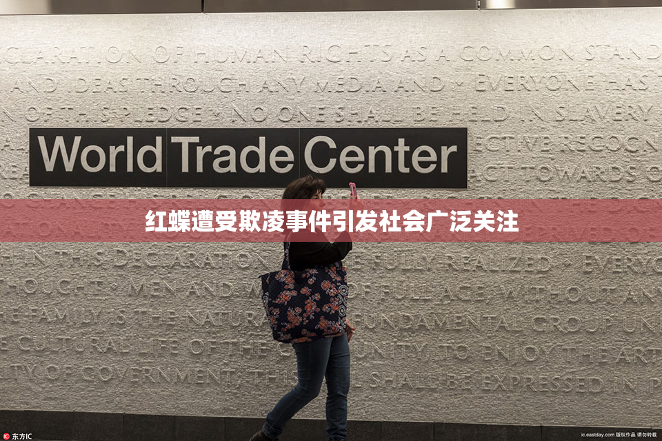 红蝶遭受欺凌事件引发社会广泛关注