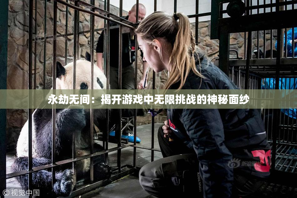 永劫无间：揭开游戏中无限挑战的神秘面纱