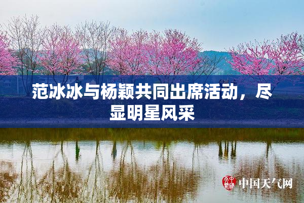 范冰冰与杨颖共同出席活动，尽显明星风采