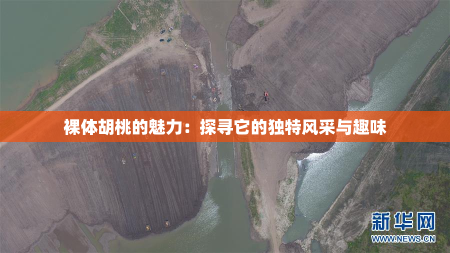 裸体胡桃的魅力：探寻它的独特风采与趣味