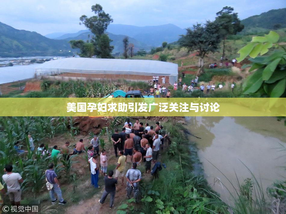 美国孕妇求助引发广泛关注与讨论