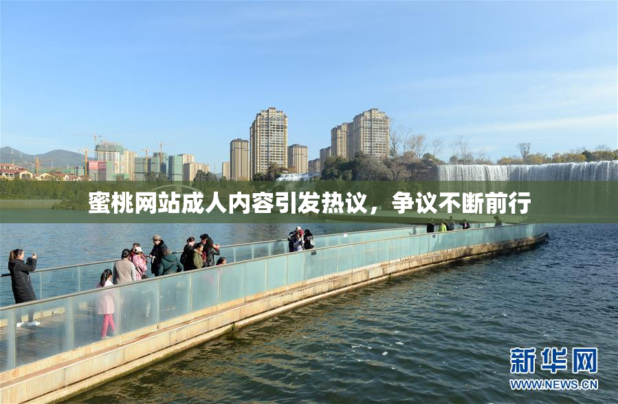 蜜桃网站成人内容引发热议，争议不断前行