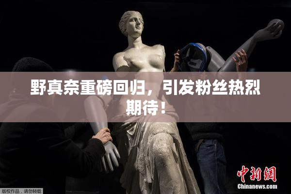 野真奈重磅回归，引发粉丝热烈期待！