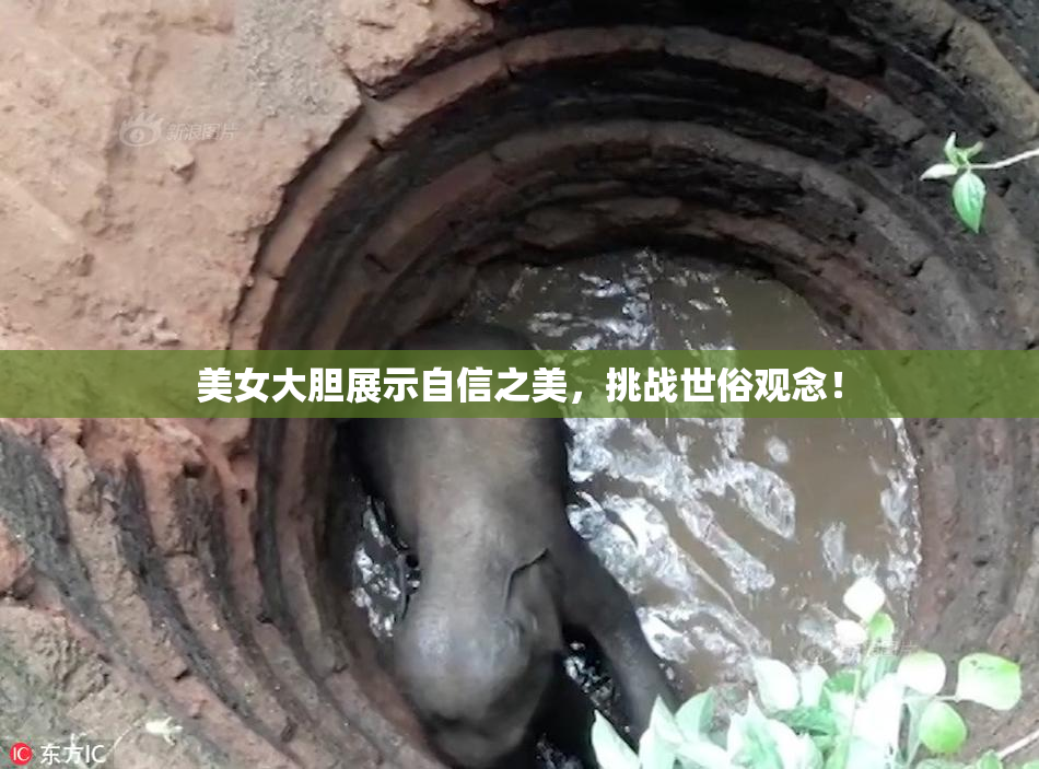 美女大胆展示自信之美，挑战世俗观念！