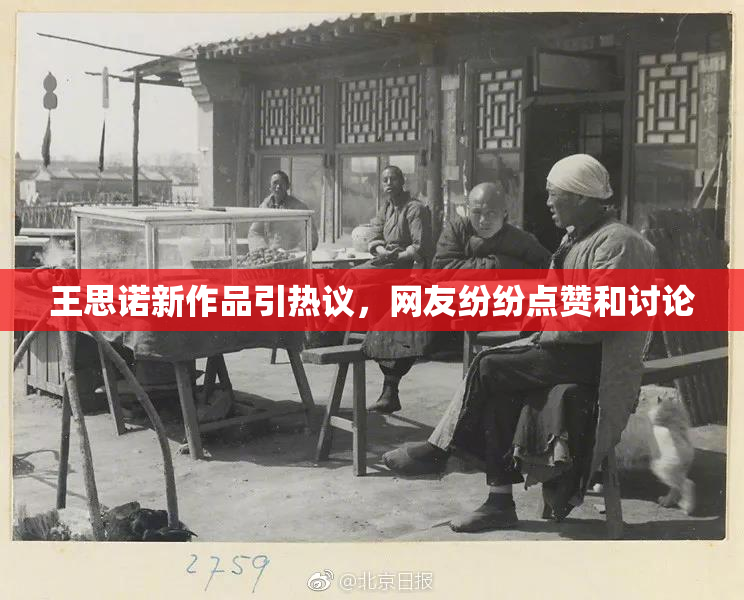 王思诺新作品引热议，网友纷纷点赞和讨论