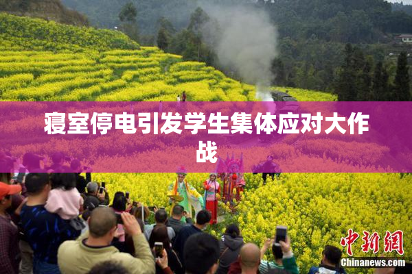 寝室停电引发学生集体应对大作战