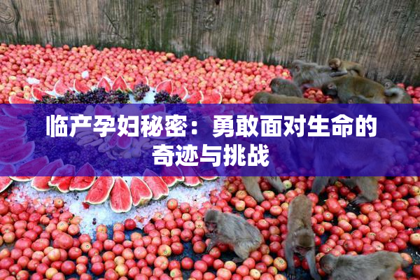 临产孕妇秘密：勇敢面对生命的奇迹与挑战