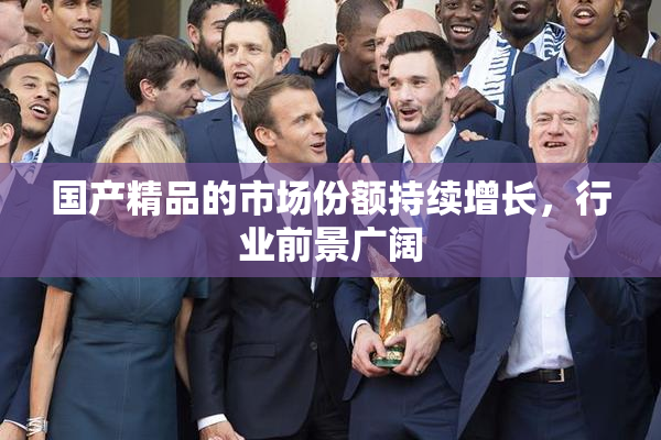 国产精品的市场份额持续增长，行业前景广阔