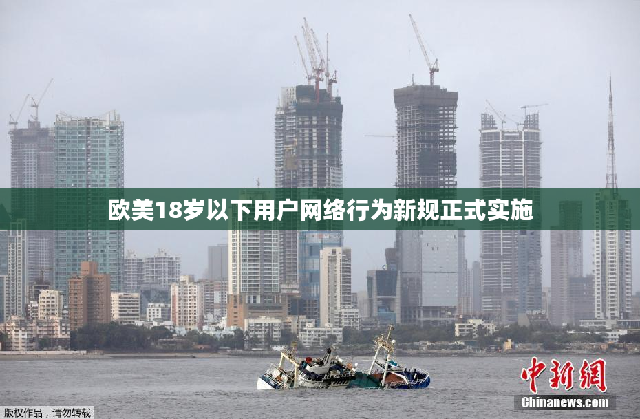 欧美18岁以下用户网络行为新规正式实施