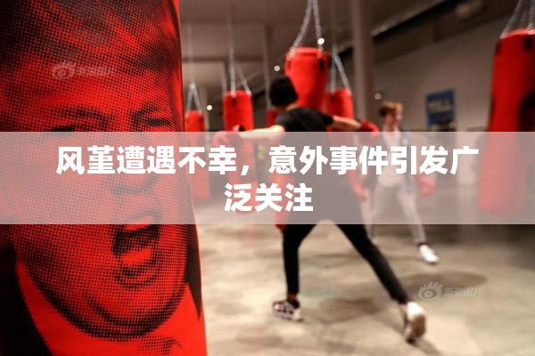 风堇遭遇不幸，意外事件引发广泛关注
