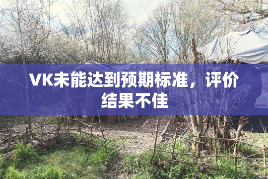VK未能达到预期标准，评价结果不佳