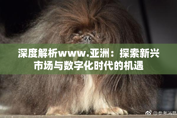 深度解析www.亚洲：探索新兴市场与数字化时代的机遇