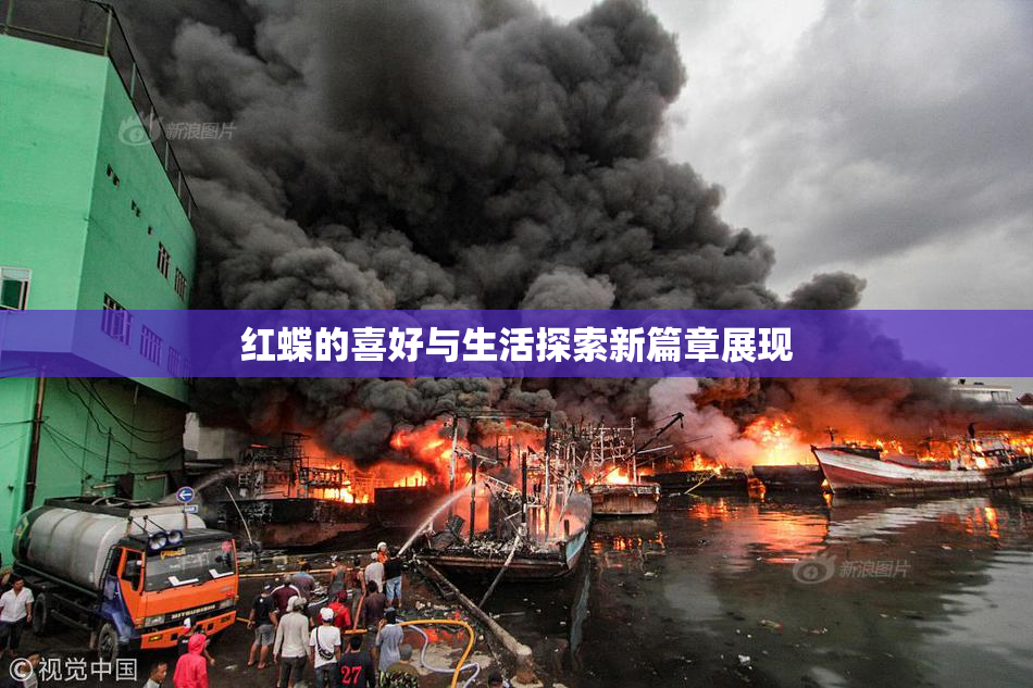 红蝶的喜好与生活探索新篇章展现