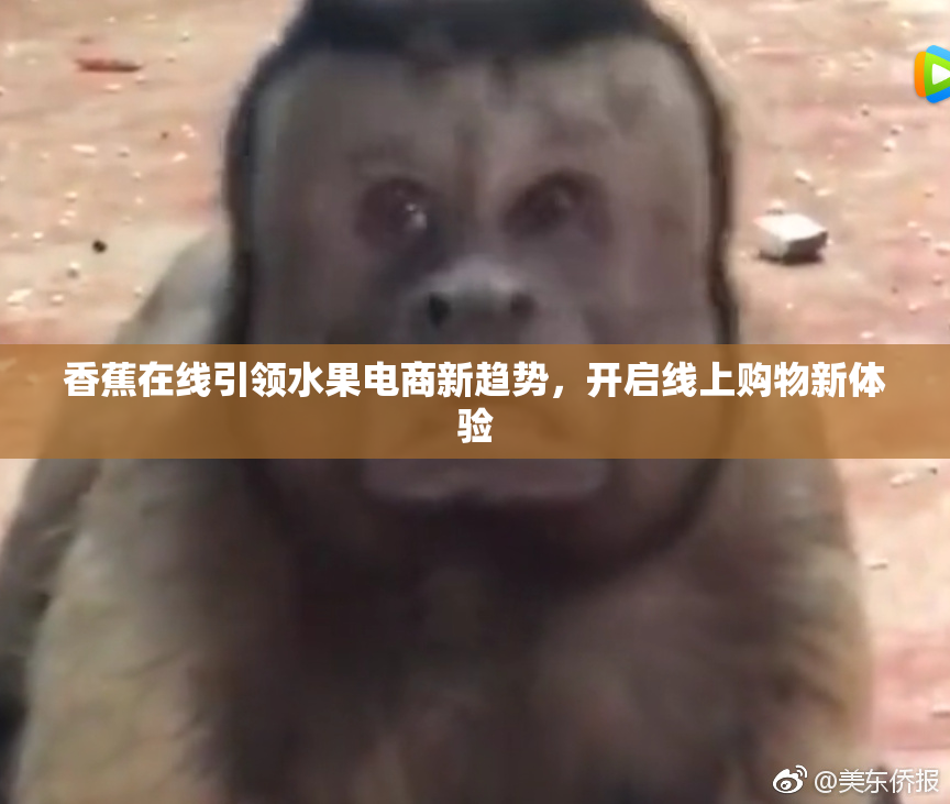 香蕉在线引领水果电商新趋势，开启线上购物新体验