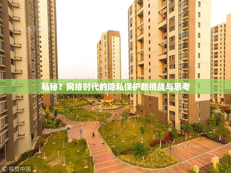 私秘？网络时代的隐私保护新挑战与思考