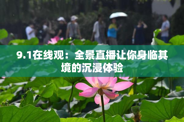 9.1在线观：全景直播让你身临其境的沉浸体验