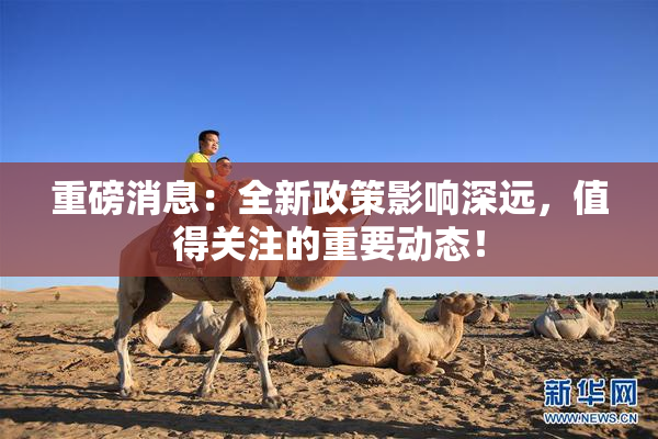 重磅消息：全新政策影响深远，值得关注的重要动态！