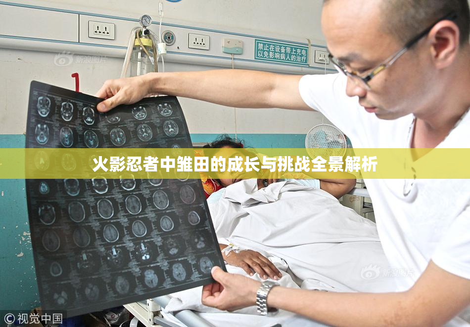 火影忍者中雏田的成长与挑战全景解析