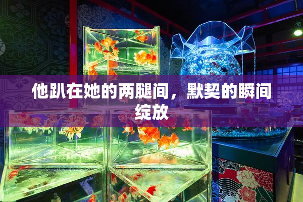 他趴在她的两腿间，默契的瞬间绽放