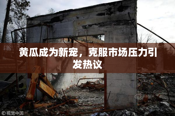 黄瓜成为新宠，克服市场压力引发热议