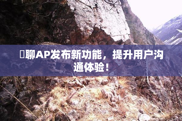 躶聊AP发布新功能，提升用户沟通体验！