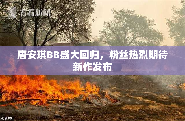 唐安琪BB盛大回归，粉丝热烈期待新作发布