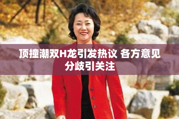 顶撞潮双H龙引发热议 各方意见分歧引关注