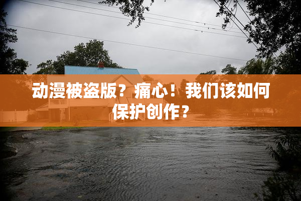 动漫被盗版？痛心！我们该如何保护创作？