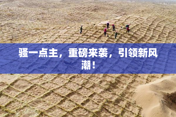 骚一点主，重磅来袭，引领新风潮！