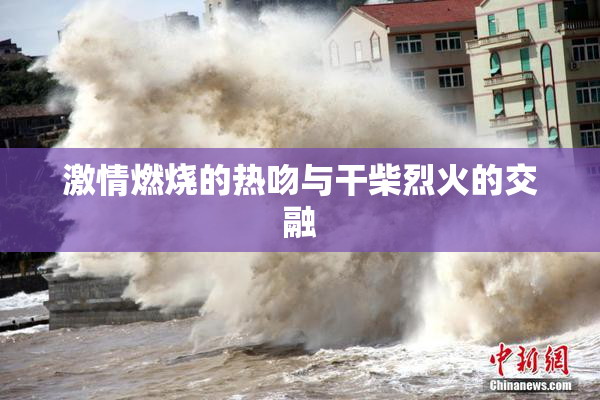 激情燃烧的热吻与干柴烈火的交融